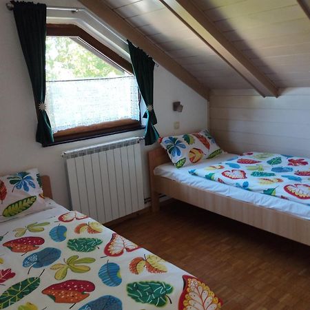 Apartmani Gruzdovo Delnice Εξωτερικό φωτογραφία