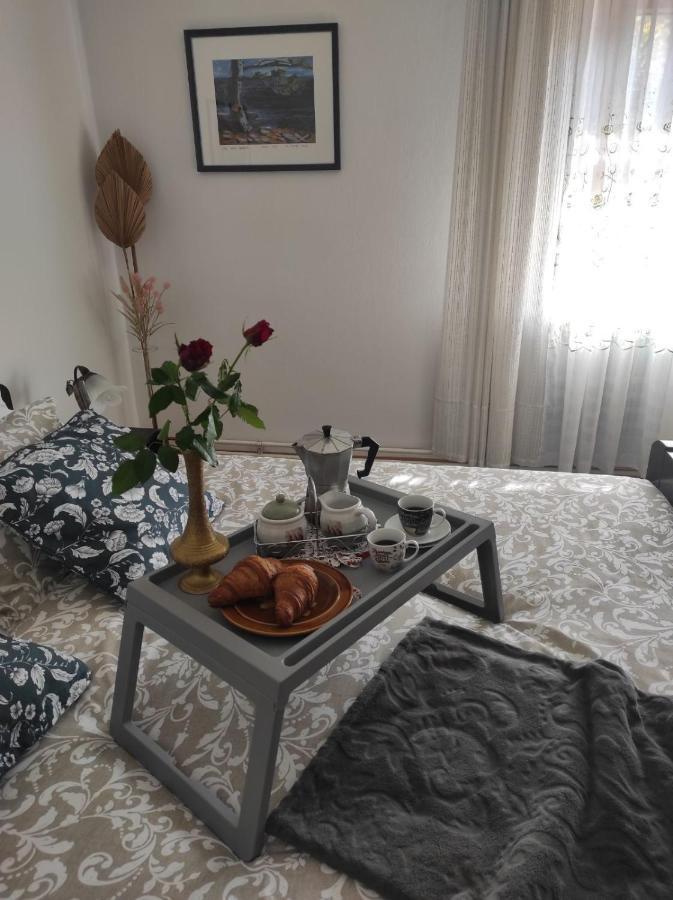 Apartmani Gruzdovo Delnice Εξωτερικό φωτογραφία