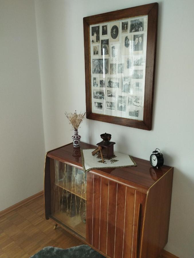 Apartmani Gruzdovo Delnice Εξωτερικό φωτογραφία