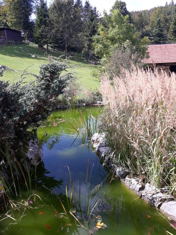Apartmani Gruzdovo Delnice Εξωτερικό φωτογραφία