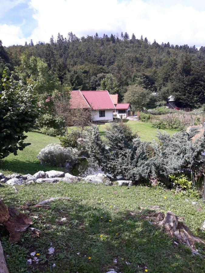 Apartmani Gruzdovo Delnice Εξωτερικό φωτογραφία