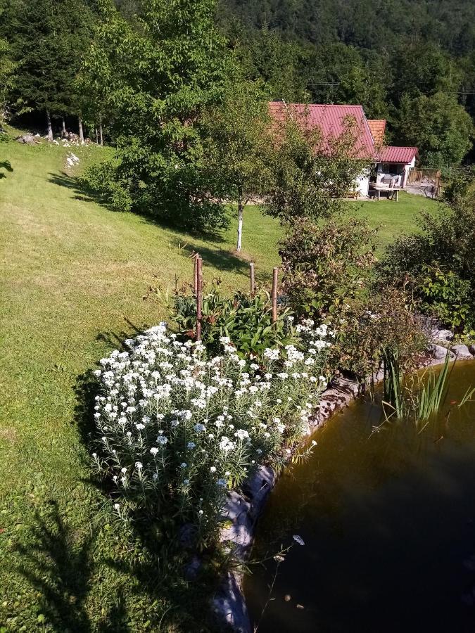 Apartmani Gruzdovo Delnice Εξωτερικό φωτογραφία