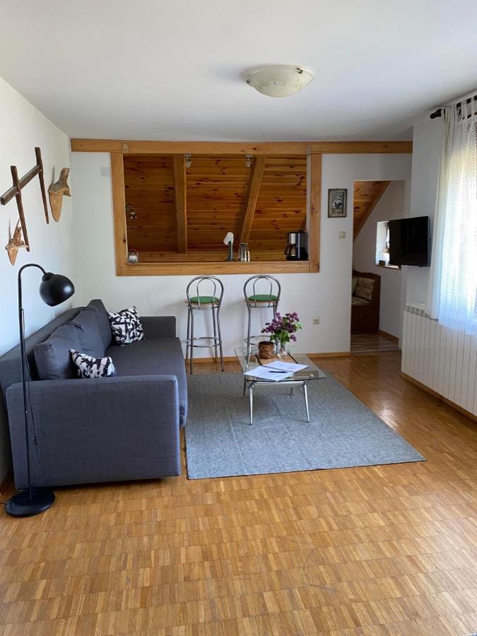 Apartmani Gruzdovo Delnice Εξωτερικό φωτογραφία