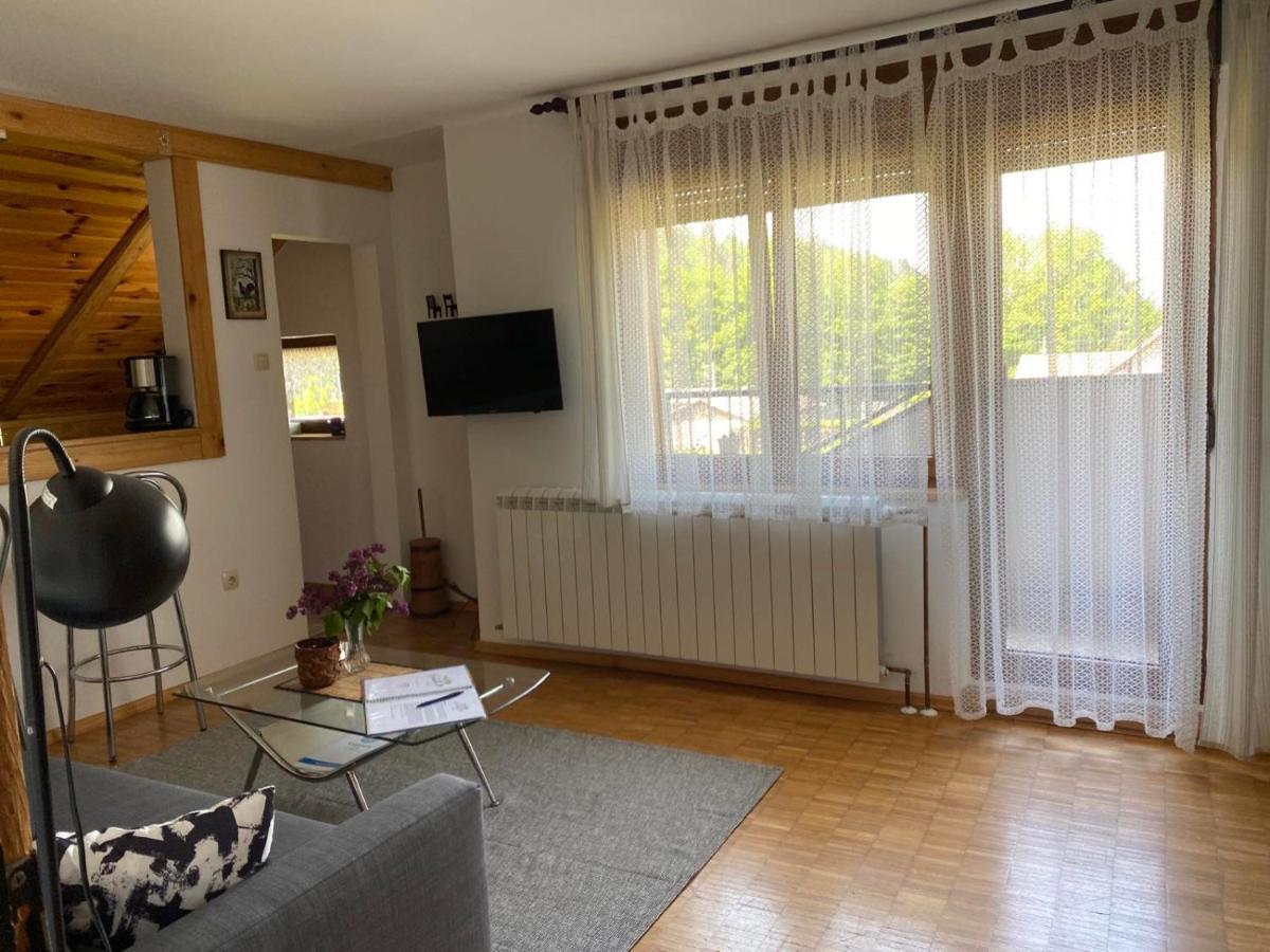 Apartmani Gruzdovo Delnice Εξωτερικό φωτογραφία