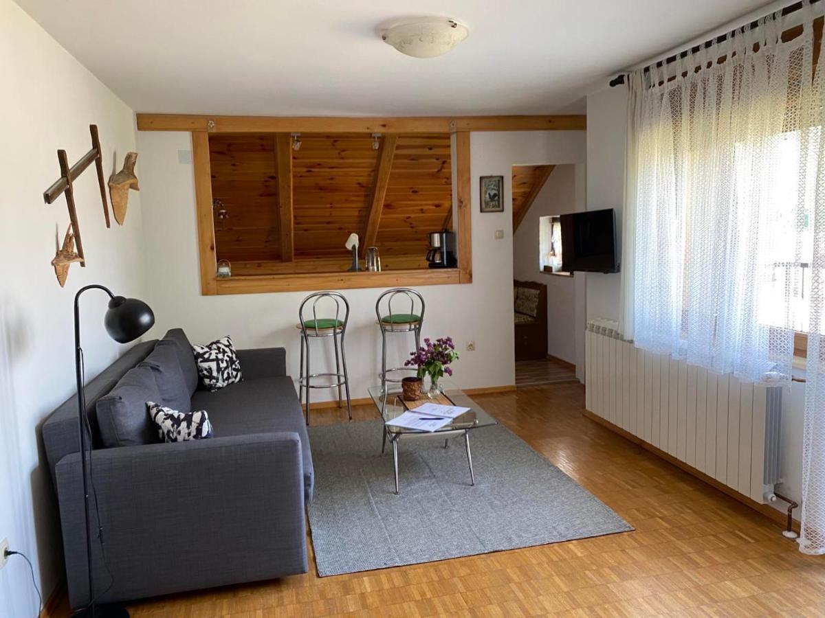 Apartmani Gruzdovo Delnice Εξωτερικό φωτογραφία