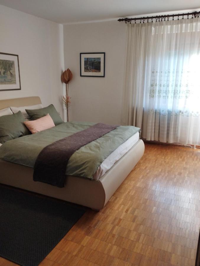 Apartmani Gruzdovo Delnice Εξωτερικό φωτογραφία