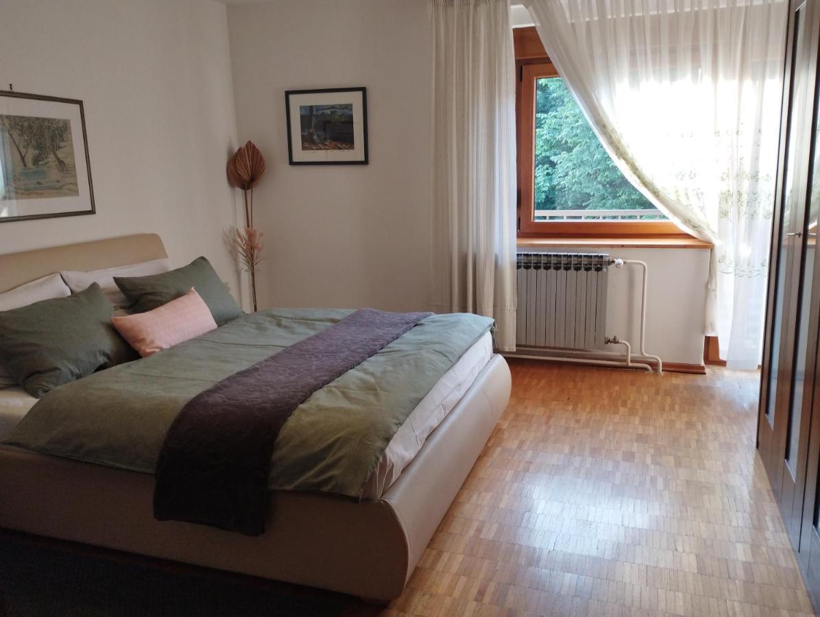 Apartmani Gruzdovo Delnice Εξωτερικό φωτογραφία