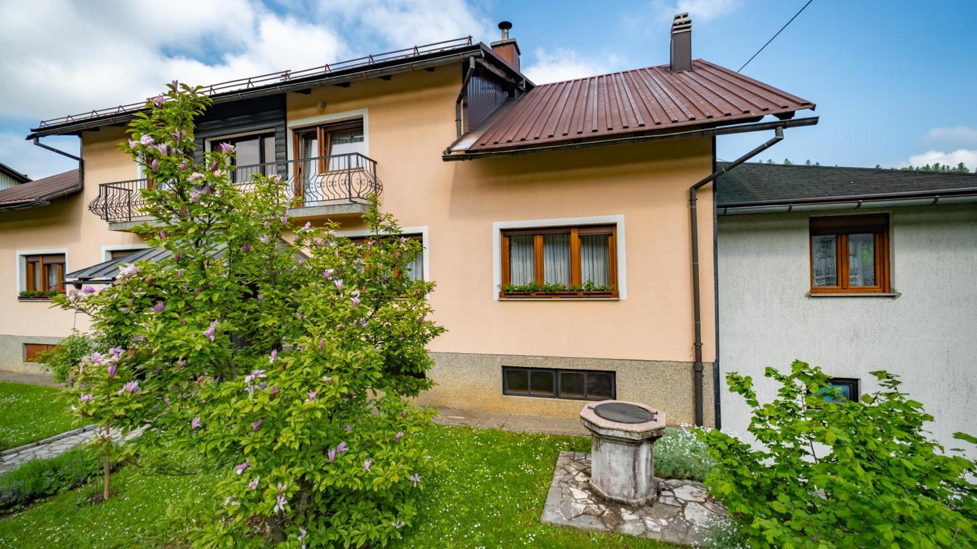 Apartmani Gruzdovo Delnice Εξωτερικό φωτογραφία